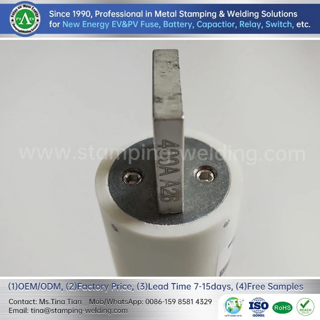 Ceramic Cylinder Cap Fuse Cap